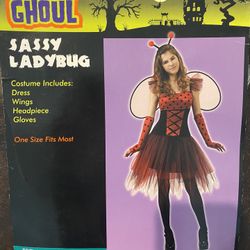 Teen Lady Bug Costume