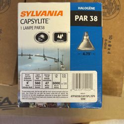 Flood Lights