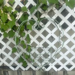 Plant Flower Hanging Holder