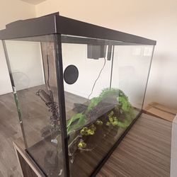 29 gallons fish tank and accessories