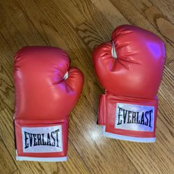 Everlast Boxing Gloves
