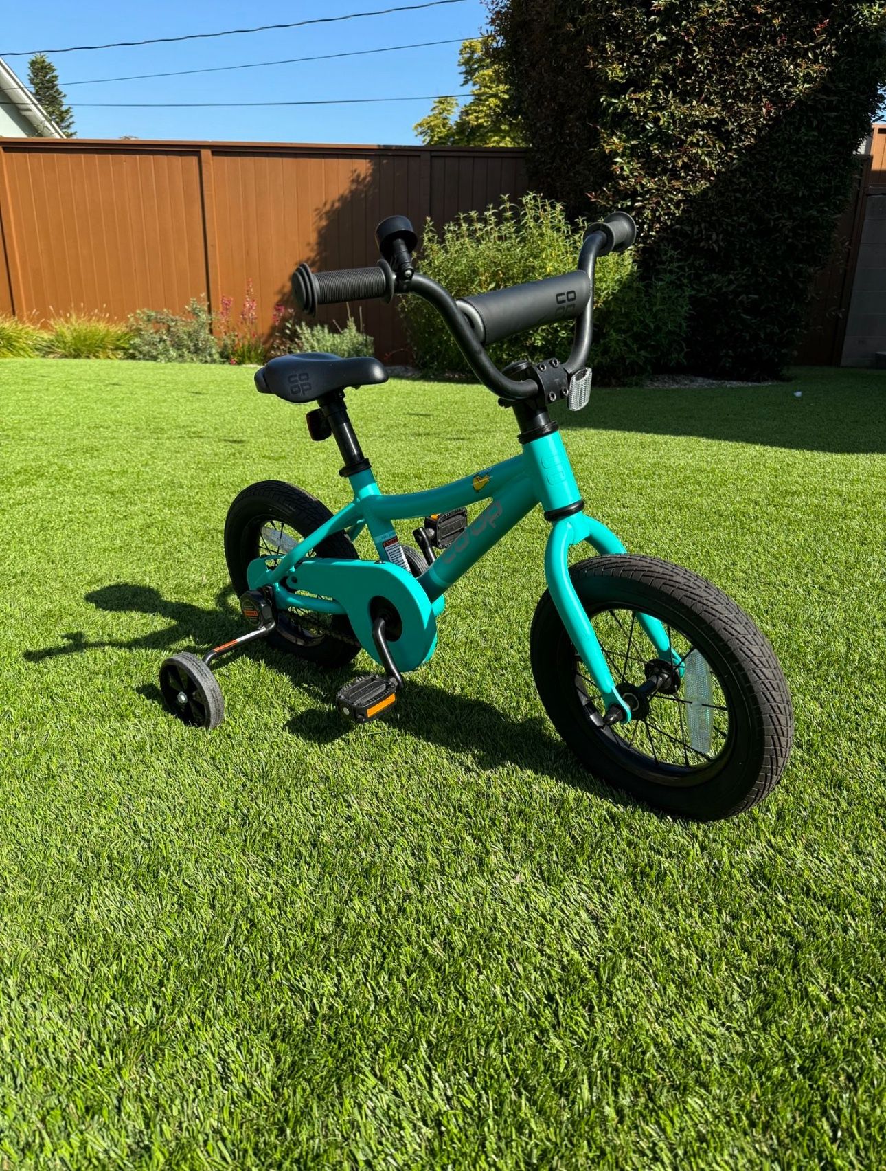 REI Co-op REV 12 toddler Kids Bike With Training Wheels 