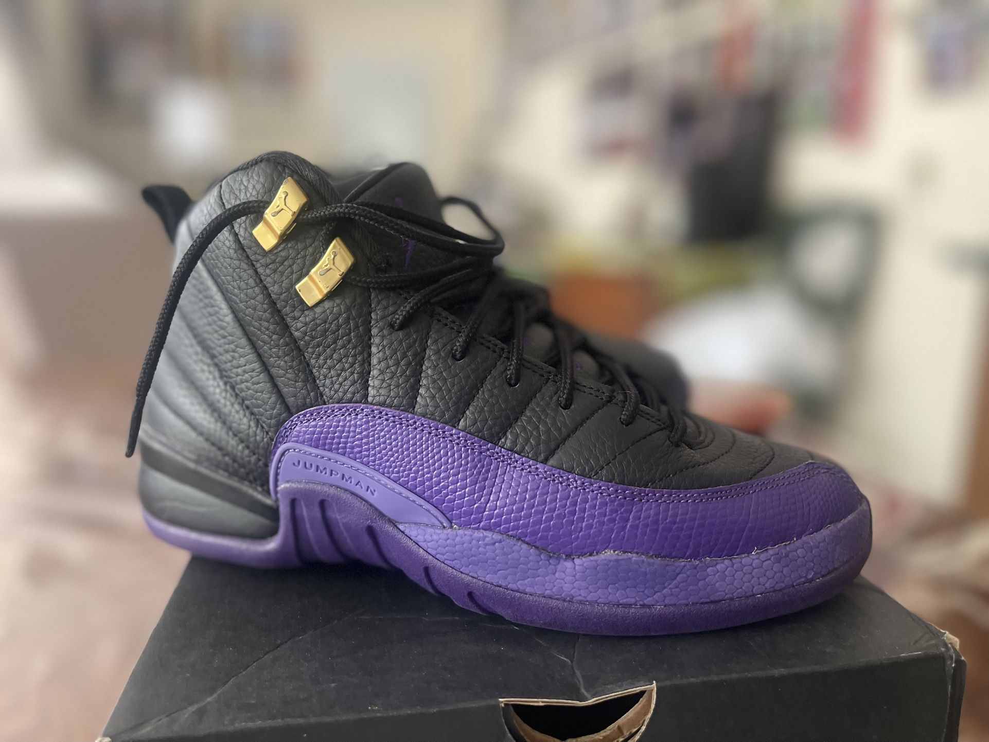 Jordan 12 Retro