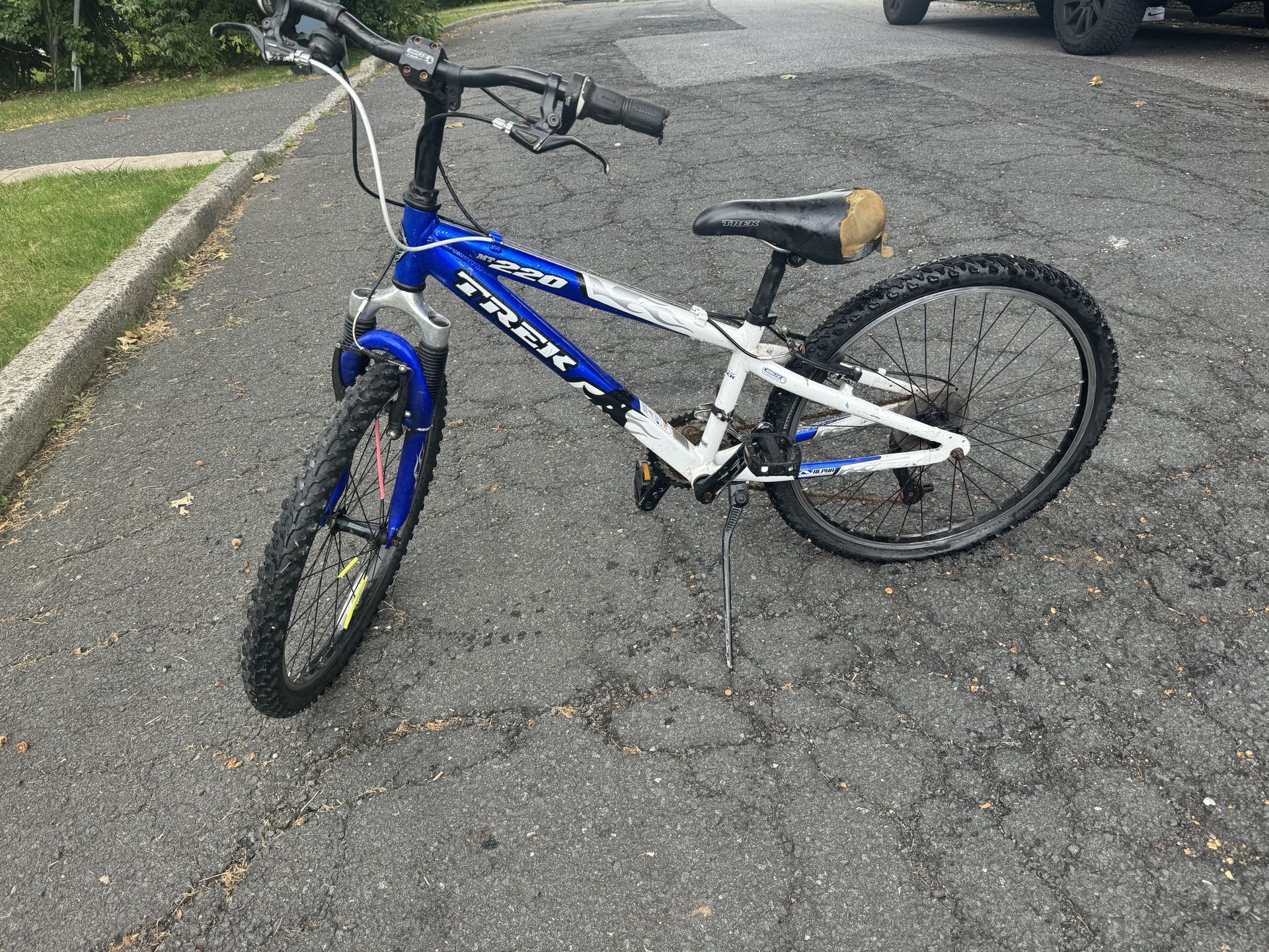 220 Trek Mountain Bike