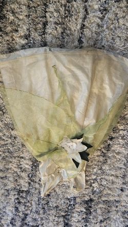 Disney Princess Tiana Dress