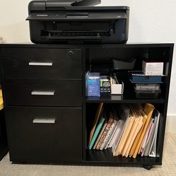 Office/ Home Mobile File Cabinet