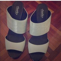 Charles David Heels Size 8.5