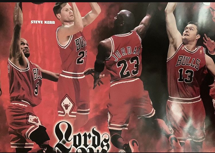 Chicago Bulls Back to Back NBA Champs (1992 NBA Champions) 16x20 Poste –  Sports Poster Warehouse