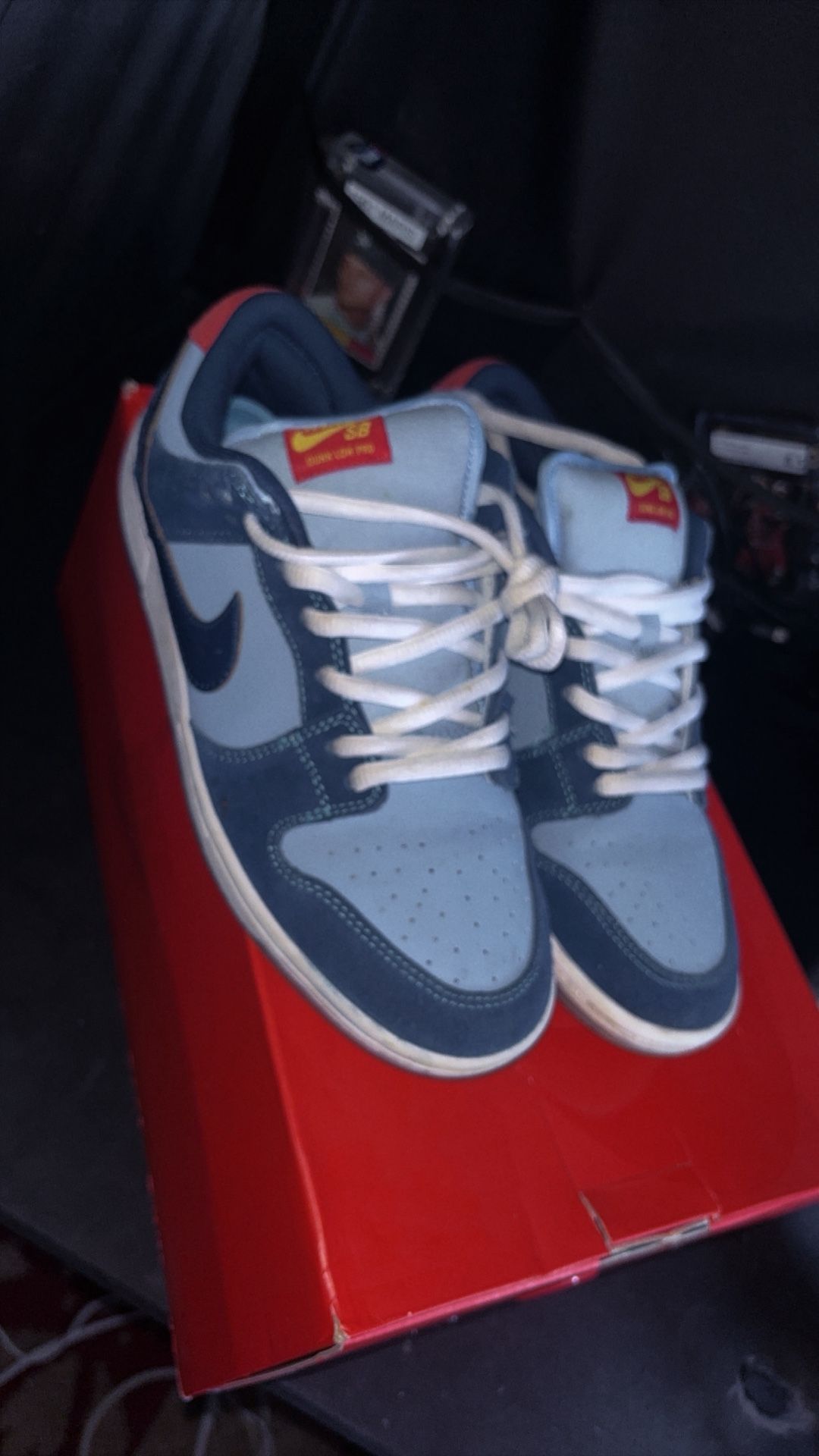 Why So Sad? x Dunk Low SB 'The Predatory Bird'