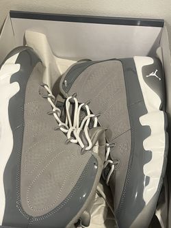 Jordan Cool Grey 9s