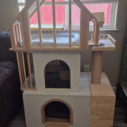 Cat House 