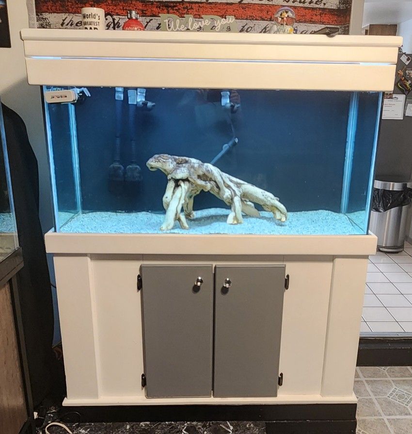 Aquarium 90 Gallon
