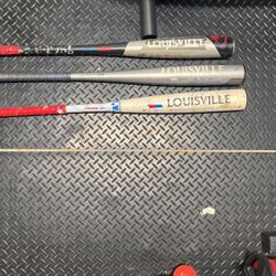 Louisville bats