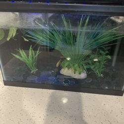 10 Gallon Fish Tank 
