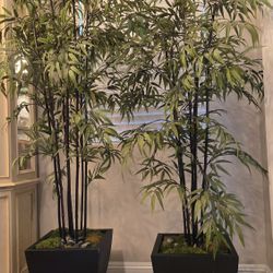 Arficial Bamboo Plant In A Black Planter