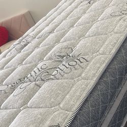 Twin Mattress