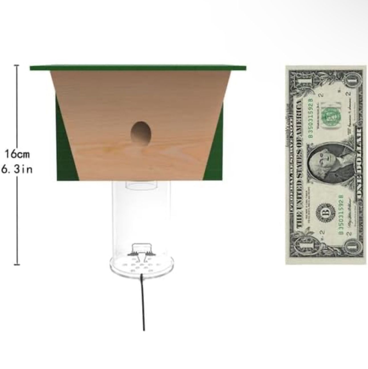 Best Bee Trap