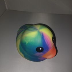 Jumbo Rainbow Duck