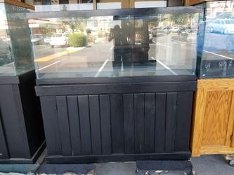 75 gallon tank and stand