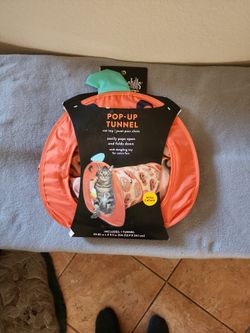 Pumpkin Cat Tunnel 