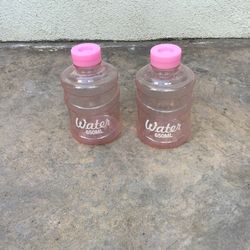 2 Pink Water Bottles (650 ML)