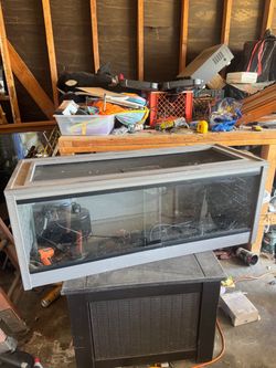 Large Ecoflex Terrarium