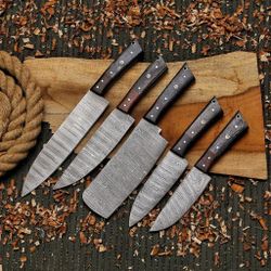 5 Piece Kitchen Knife Set 