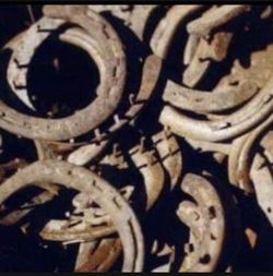 Horseshoes