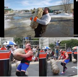 Atlas Stones Viking Stone Solid Rubber Rock shapes Large ones $20 smaller ones $10