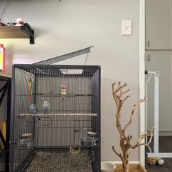 Cage + Perch For Budgies