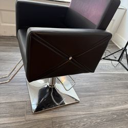 Salon Chair