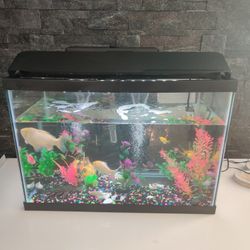 Aquarium 20 Gallon