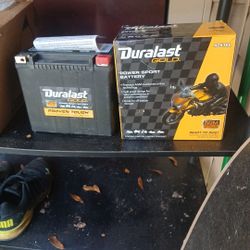 Duralast Gold Motorcycle Battery  AZX16L