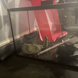29 Gallon aquarium with electric blue crawfish