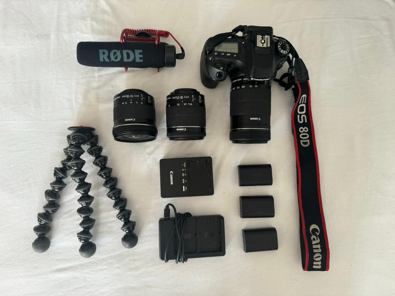 Camera Canon EOS 80D with 3 lenses (10-18mm, 18-55mm, 55-250mm)