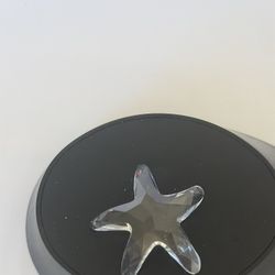 Swarovski Crystal SCS (1(contact info removed)) South Sea Collection: Starfish Figurine Rare