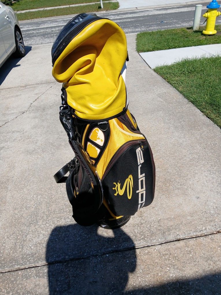 Cobra Staff Bag