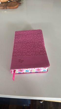 Girls adventure Bible for kids