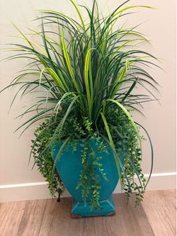 Decorative Plant