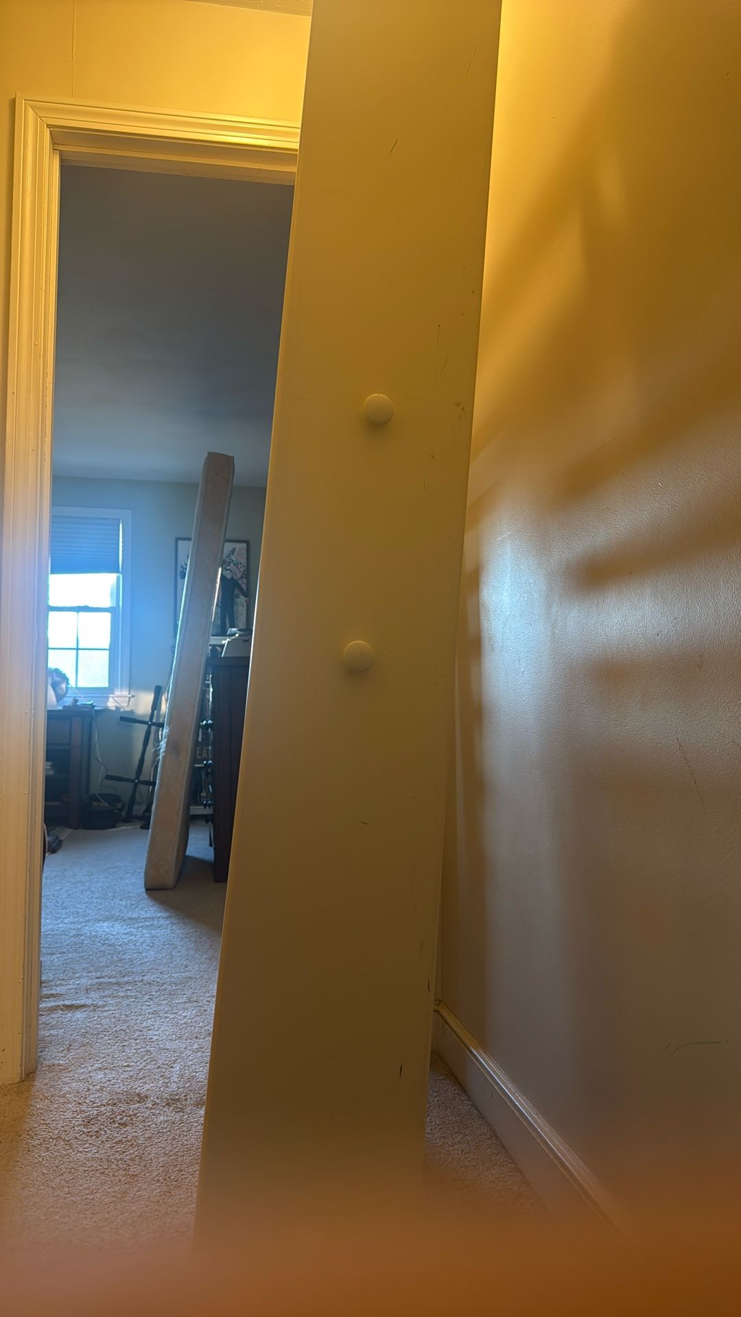 Pull Out Trundle Bed