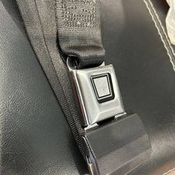 New Seat Belt