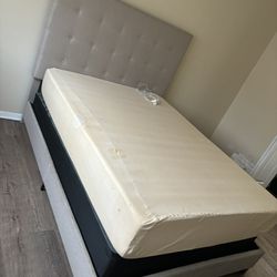 Queen Bed and Frame