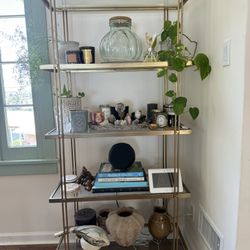 West Elm Bookshelve With Glass Shelving $120 OBO 
