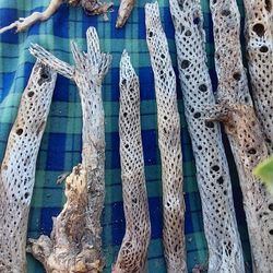 Natural Cholla Wood Decor