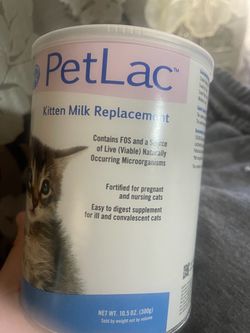 Milk for kittens