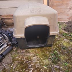 Large Outdoor Kennel