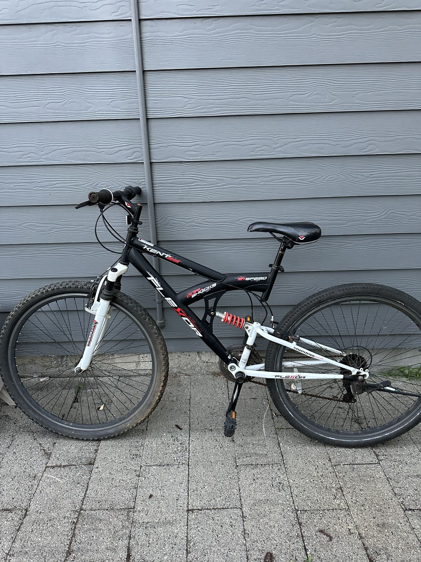 29” Bike