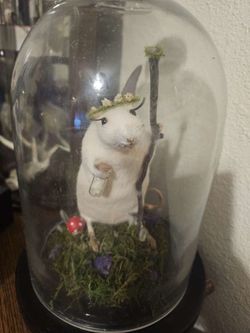 Taxidermy Fairy Rat (with glass encasing) Rata vestida de ada