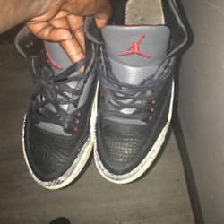 Air Jordan 3 Animal Instinct