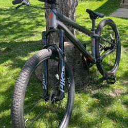 2022 Specialized P.3 Dirt Jumper MTB BMX